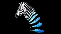 Surrealism feathers zebras surreal artwork