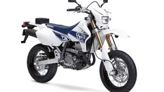 Suzuki 2008 motorbikes