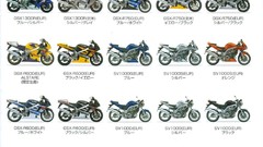 Suzuki motorbikes