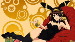 Suzumiya haruhi bunny suit