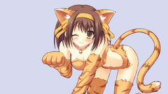 Suzumiya haruhi nekomimi the