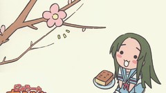 Suzumiya haruhi the melancholy of haruhi suzumiya