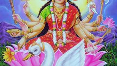 Swans goddess Krishna Hinduism