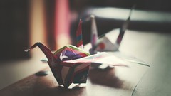 Swans origami