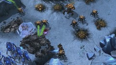 Swarm starcraft ii