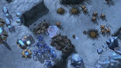 Swarm starcraft ii