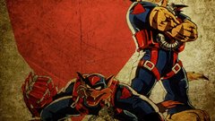 Swat Kats