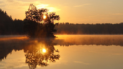 Sweden Lake sunset fog