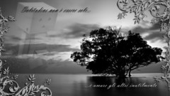 Sweets (candies) lonely