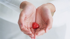 Sweets desserts delicacies high