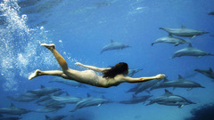 Swimming Dolphins underwater