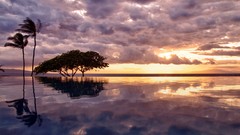 Swimming pools nature palm