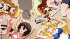 Swimsuits sekirei