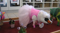 Swine Lake high nature