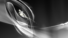 Swirls black white abstract