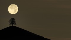 Switzerland full moon night sky