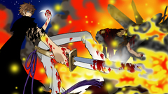 Sword bloodyfeather Manga Anime