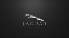 Symbols jaguar