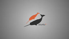 Systems Whales Narwhal nature