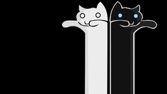Tacgnol Longcat