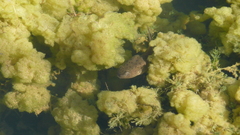 Tadpoletadpole took it myself