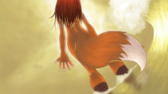 Tails furry foxes