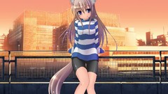 Tails nekomimi anime girls