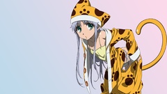 Tails nekomimi Index Librorum