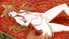 Tails spice and wolf