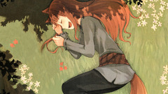 Tails spice and wolf