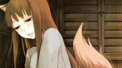 Tails spice and wolf