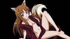 Tails spice and wolf