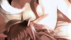 Tails spice and wolf