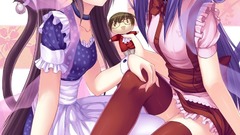 Tails stockings blue eyes