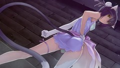 Tails video games tony