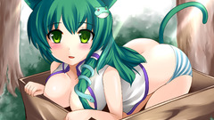 Tails video Games touhou