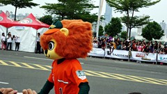 Taiwan Lions