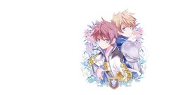 Tales of vesperia Simple Background