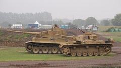 Tanks World War II Wehrmacht Tiger Lillies PzKpfw V pzkpfw III