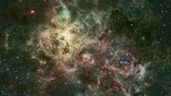 Tarantula nebula Space Stars