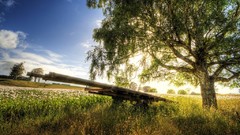 Tasmania 3D renders Photo