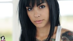 Tattoos brunettes suicide girls