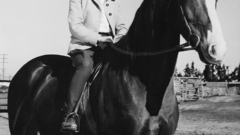 Taylor elizabeth National velvet