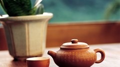 Tea widescreen yixing teapot gong fu cha