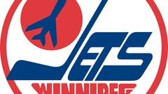 Team hockey nhl logos