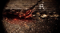 Tears pavement rockstar games logos