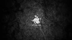 Technology apple inc