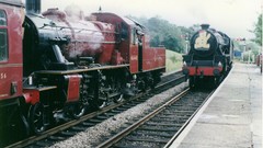 Teddy Bear special arrives