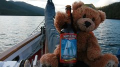 Teddy bears drinking