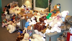 Teddy Bears high Animals